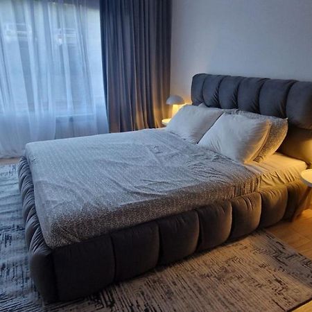 Free Spa Pirin Lodge Cosy Apartment Μπάνσκο Εξωτερικό φωτογραφία